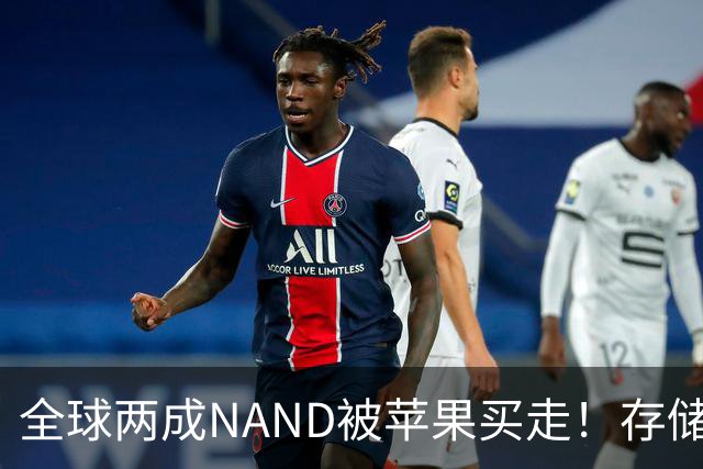全球两成NAND被苹果买走！存储采购内幕曝光：不卖就让你跪着爬回来