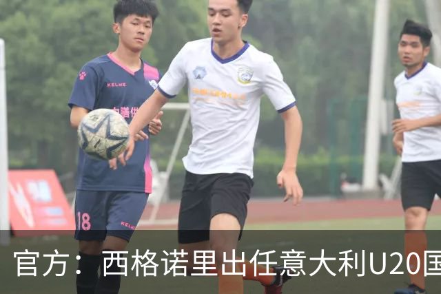 官方：西格诺里出任意大利U20国青队领队