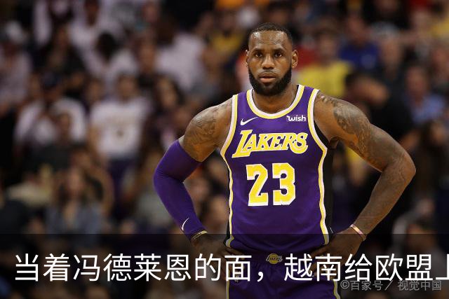 当着冯德莱恩的面，越南给欧盟上了一课：什么叫“中国力量”