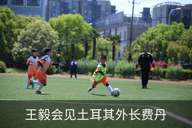 王毅会见土耳其外长费丹