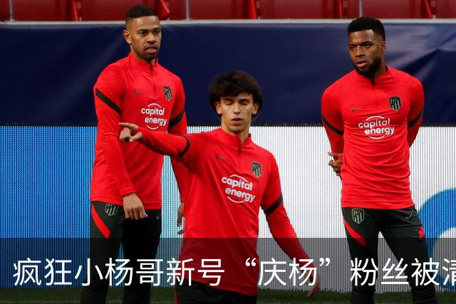 疯狂小杨哥新号“庆杨”粉丝被清零