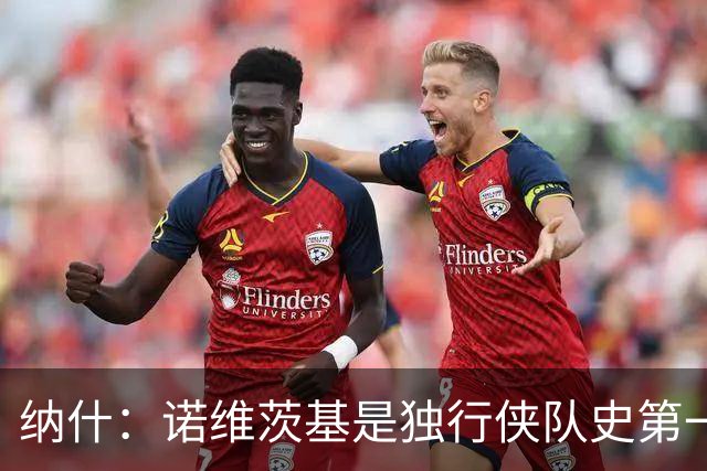 纳什：诺维茨基是独行侠队史第一人 他彻底改变了大个子比赛方式