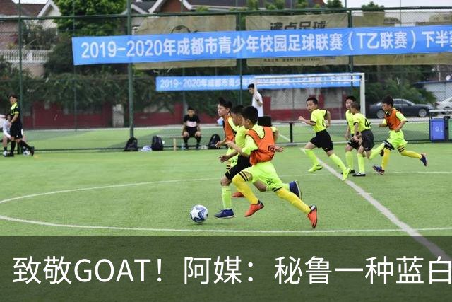 致敬GOAT！阿媒：秘鲁一种蓝白色小花被命名梅西鼠尾草