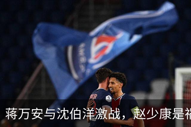 蒋万安与沈伯洋激战，赵少康是祸首，却嫁祸郑丽文？邱毅说公道话