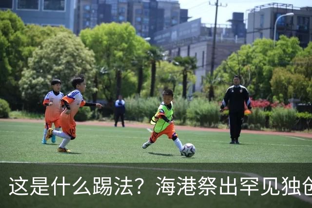 这是什么踢法？海港祭出罕见独创325阵型：直接拉爆蓉城体能，大连英博渔翁得利