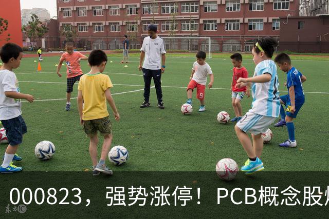 000823，强势涨停！PCB概念股爆发
